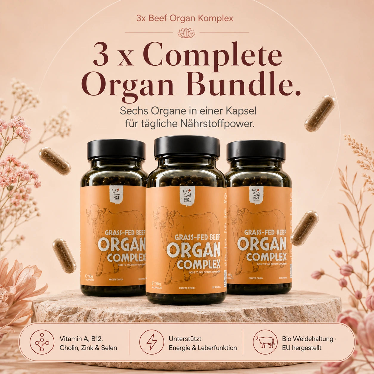 3 x Complete Organ Bundle