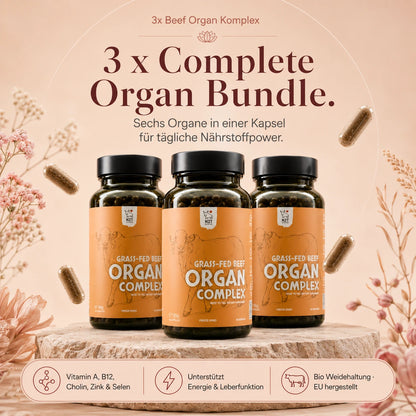 3 x Complete Organ Bundle